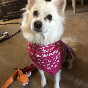 Fundraising Page: Alejandra Lopez